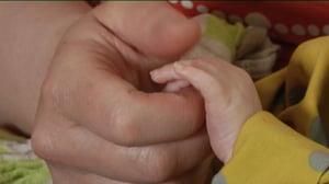 Yle Uutiset Pohjanmaa: Yle Uutiset Pohjanmaa 01-06-2016 Klo 17-06: 01.06.2016 16.33