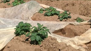 Yle Uutiset Lappi: Yle Uutiset Lappi 02-06-2016 Klo 17-06: 02.06.2016 16.36