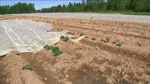 Yle Uutiset Lappi: Yle Uutiset Lappi 02-06-2016 Klo 17-06: 02.06.2016 16.57