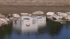 Yle Uutiset Keski-Suomi: Yle Uutiset Keski-Suomi 07-06-2016 Klo 17-06: 07.06.2016 16.36