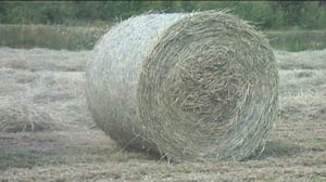 Yle Uutiset Pohjanmaa: Yle Uutiset Pohjanmaa 07-06-2016 Klo 17-06: 07.06.2016 16.50