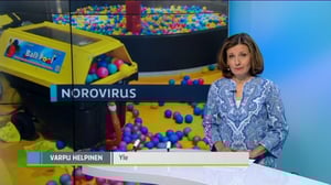 Yle Uutiset Uusimaa: Yle Uutiset Uusimaa 07-06-2016 klo 18-22: 07.06.2016 18.38