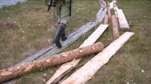 Yle Uutiset Pohjanmaa: Yle Uutiset Pohjanmaa 08-06-2016 Klo 17-06: 08.06.2016 16.39