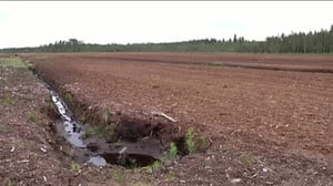 Yle Uutiset Keski-Suomi: Yle Uutiset Keski-Suomi 10-06-2016 Klo 17-06: 10.06.2016 16.38