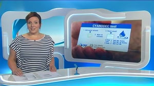 Yle Uutiset Lounais-Suomi: Yle Uutiset Lounais-Suomi 10-06-2016 Klo 18-22: 10.06.2016 17.41