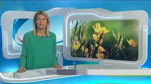 Yle Uutiset Lounais-Suomi: Yle Uutiset Lounais-Suomi 13-06-2016 Klo 18-22: 13.06.2016 16.47