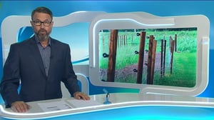 Yle Uutiset Lounais-Suomi: Yle Uutiset Lounais-Suomi 16-06-2016 Klo 18-22: 16.06.2016 17.26