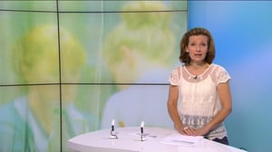 Yle Uutiset Uusimaa: Yle Uutiset Uusimaa 27-06-2016 klo 18-13: 27.06.2016 18.38