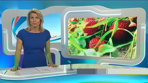 Yle Uutiset Häme: Yle Uutiset Häme 05-07-2016 Klo 18-22: 05.07.2016 17.33