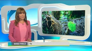 Yle Uutiset Keski-Suomi: Yle Uutiset Keski-Suomi 11-07-2016 Klo 18-22: 11.07.2016 17.24
