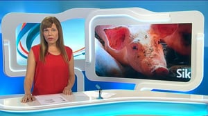 Yle Uutiset Itä-Suomi: Yle Uutiset Itä-Suomi 21-07-2016 Klo 18-22: 21.07.2016 16.59