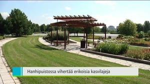 Yle Uutiset Lounais-Suomi: Yle Uutiset Lounais-Suomi 26-07-2016 Klo 18-22: 26.07.2016 17.21
