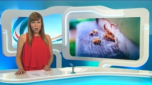 Yle Uutiset Keski-Suomi: Yle Uutiset Keski-Suomi 26-07-2016 Klo 18-22: 26.07.2016 17.28