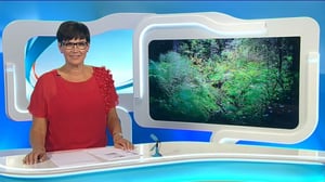 Yle Uutiset Keski-Suomi: Yle Uutiset Keski-Suomi 05-08-2016 Klo 18-22: 05.08.2016 17.04