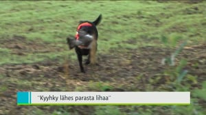 Yle Uutiset Lounais-Suomi: Yle Uutiset Lounais-Suomi 10-08-2016 Klo 18-22: 10.08.2016 17.48