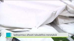 Yle Uutiset Itä-Suomi: Yle Uutiset Itä-Suomi 15-08-2016 Klo 18-22: 15.08.2016 18.16
