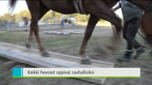 Yle Uutiset Pohjanmaa: Yle Uutiset Pohjanmaa 17-08-2016 Klo 18-22: 17.08.2016 18.13