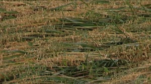 Yle Uutiset Pohjanmaa: Yle Uutiset Pohjanmaa 22-08-2016 Klo 17-06: 22.08.2016 16.35