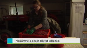 Yle Uutiset Pohjanmaa: Yle Uutiset Pohjanmaa 22-08-2016 Klo 18-22: 22.08.2016 17.51