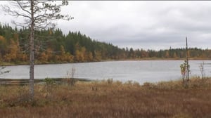 Yle Uutiset Lappi: Yle Uutiset Lappi 25-08-2016 Klo 17-06: 25.08.2016 16.41