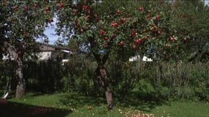 Yle Uutiset Kaakkois-Suomi: Yle Uutiset Kaakkois-Suomi 26-08-2016 Klo 17-06: 26.08.2016 16.33