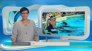 Yle Uutiset Pirkanmaa: Yle Uutiset Pirkanmaa 29-08-2016 Klo 18-22: 29.08.2016 18.42
