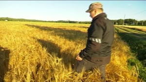 Yle Uutiset Häme: Yle Uutiset Häme 31-08-2016 klo 17-06: 31.08.2016 16.39