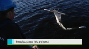 Yle Uutiset Itä-Suomi: Yle Uutiset Itä-Suomi 31-08-2016 Klo 18-22: 31.08.2016 18.07