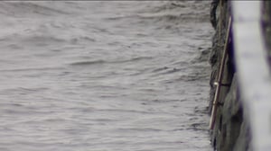 Yle Uutiset Uusimaa: Yle Uutiset Uusimaa 05-09-2016 klo 17-06: 05.09.2016 19.19