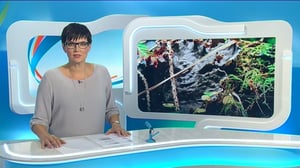 Yle Uutiset Keski-Suomi: Yle Uutiset Keski-Suomi 08-09-2016 Klo 18-22: 08.09.2016 17.46