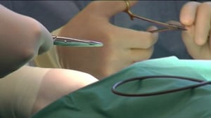 Yle Uutiset Pirkanmaa: Yle Uutiset Pirkanmaa 09-09-2016 Klo 17-06: 09.09.2016 16.28