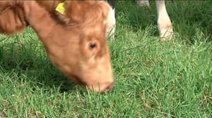 Yle Uutiset Itä-Suomi: Yle Uutiset Itä-Suomi 12-09-2016 Klo 17-06: 12.09.2016 16.49