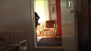 Yle Uutiset Kaakkois-Suomi: Yle Uutiset Kaakkois-Suomi 13-09-2016 Klo 17-06: 13.09.2016 16.45