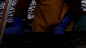 Yle Uutiset Keski-Suomi: Yle Uutiset Keski-Suomi 19-09-2016 Klo 17-06: 19.09.2016 16.27