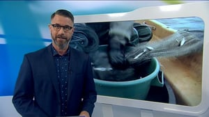 Yle Uutiset Uutis-Suomi: Yle Uutiset Uutis-Suomi 23-09-2016: 23.09.2016 19.39
