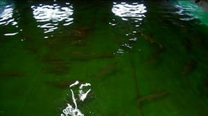 Yle Uutiset Keski-Suomi: Yle Uutiset Keski-Suomi 26-09-2016 Klo 17-06: 26.09.2016 16.35