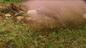 Yle Uutiset Häme: Yle Uutiset Häme 27-09-2016 klo 17-06: 27.09.2016 16.36