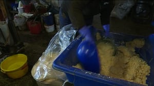 Yle Uutiset Itä-Suomi: Yle Uutiset Itä-Suomi 28-09-2016 Klo 17-06: 28.09.2016 16.31