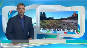 Yle Uutiset Häme: Yle Uutiset Häme 03-10-2016 Klo 18-22: 03.10.2016 18.12
