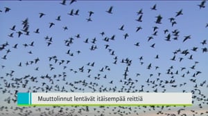 Yle Uutiset Itä-Suomi: Yle Uutiset Itä-Suomi 04-10-2016 Klo 18-22: 04.10.2016 17.40