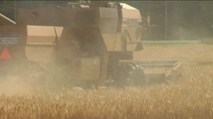 Yle Uutiset Häme: Yle Uutiset Häme 10-10-2016 klo 17-06: 10.10.2016 16.28