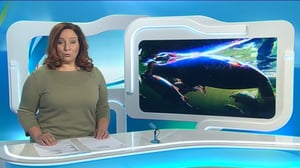 Yle Uutiset Keski-Suomi: Yle Uutiset Keski-Suomi 10-10-2016 Klo 18-22: 10.10.2016 17.36
