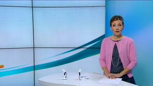 Yle Uutiset Uusimaa: Yle Uutiset Uusimaa 10-10-2016 klo 18-22: 10.10.2016 18.39