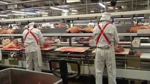 Yle Uutiset Pohjanmaa: Yle Uutiset Pohjanmaa 12-10-2016 Klo 17-06: 12.10.2016 16.32