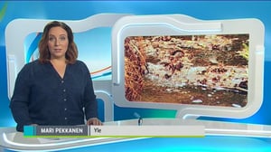 Yle Uutiset Pohjois-Suomi: Yle Uutiset Pohjois-Suomi 13-10-2016 Klo 18-22: 13.10.2016 18.09