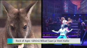 Yle Uutiset Lounais-Suomi: Yle Uutiset Lounais-Suomi 18-10-2016 Klo 18-22: 18.10.2016 18.02