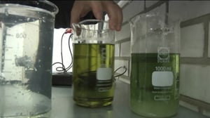 Yle Uutiset Pohjois-Suomi: Yle Uutiset Pohjois-Suomi 19-10-2016 Klo 17-06: 19.10.2016 16.31