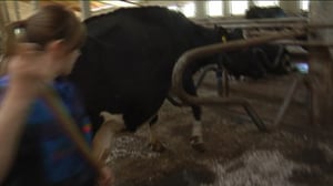 Yle Uutiset Itä-Suomi: Yle Uutiset Itä-Suomi 21-10-2016 Klo 17-06: 21.10.2016 16.32