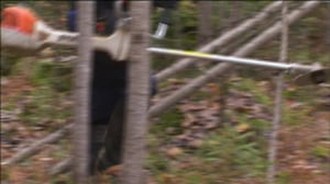 Yle Uutiset Lappi: Yle Uutiset Lappi 28-10-2016 Klo 17-06: 28.10.2016 16.37