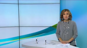 Yle Uutiset Uusimaa: Yle Uutiset Uusimaa 03-11-2016 klo 17-06: 03.11.2016 17.14